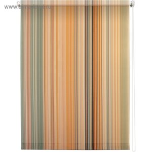Рулонная штора «Спектр», 40 х 175 см