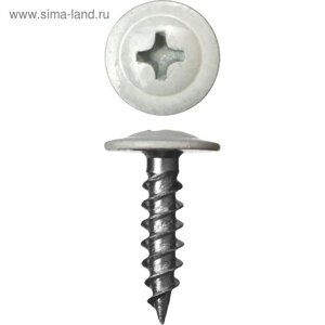 Саморезы ПШМ для листового металла "ЗУБР", RAL-9003, цвет белый, 19х4.2 мм, 450 шт.
