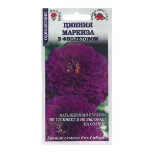 Семена цветов Цинния "Маркиза в Фиолетовом", 0,2 г