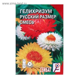 Семена цветов Гелихризум "Русский размер", 0,1 г