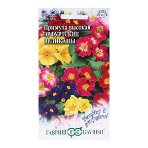 Семена цветов Примула "Эрфуртские великаны", серия Устойчив к заморозкам, 20 шт