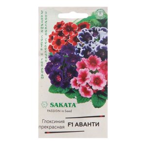 Семена комнатных цветов Глоксиния Аванти "Смесь", F1, 4 шт.