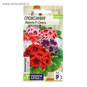 Семена комнатных цветов Глоксиния Аванти "Смесь", F1, 8 шт.