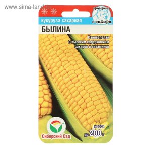 Семена Кукуруза сахарная "Былина", 6 шт.