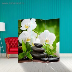 Ширма "Белая орхидея", 150 х 160 см