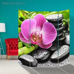Ширма "Розовая орхидея на камнях", 160 160 см