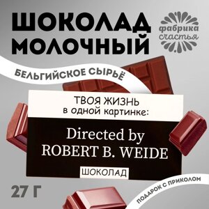 Шоколад молочный «Жизнь в одной картинке», 27 г.