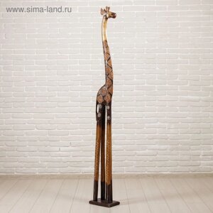 Сувенир дерево "Жираф австралийский" 200х26х16 см
