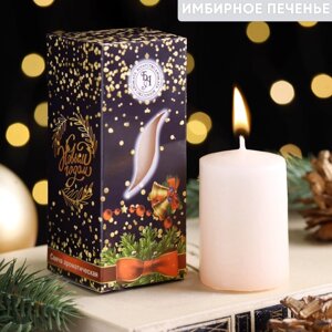 Свеча ароматическая новогодняя "Тепла и уюта", 46 см, имбирное печенье, в коробке