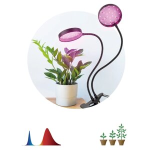 Светильник для растений на прищепке ЭРА FITO-20W-АLED-R красно-синего спектра 20 Вт черный 1047252