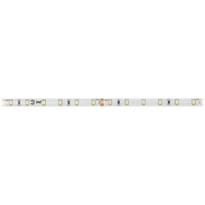 Светодиодная лента Эра, 5 м, IP65, SMD2835, 60 LED/м, 4,8 Вт/м, 24 В, свечение белое