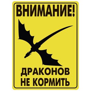 Табличка «Внимание драконов не кормить», плёнка, 400300 мм