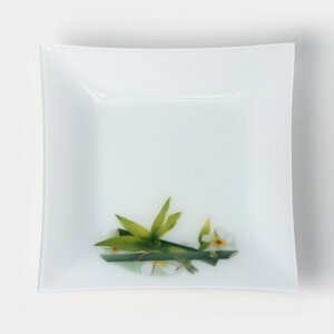 Тарелка стеклянная Доляна «Бамбук», 29,529,5 см