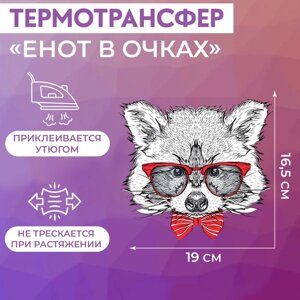 Термотрансфер «Енот в очках», 16,5 19 см