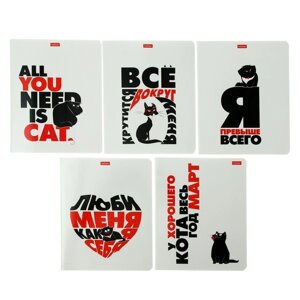 Тетрадь 48 листов в клетку "Всё что тебе нужно - это кот", обложка мелованный картон, МИКС