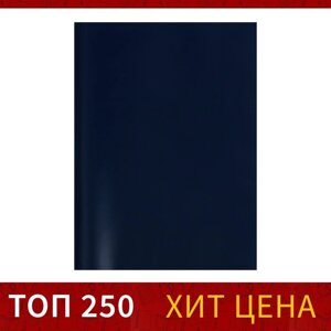 Тетрадь А4, 48 листов в клетку Calligrata, бумвинил, блок офсет, синий