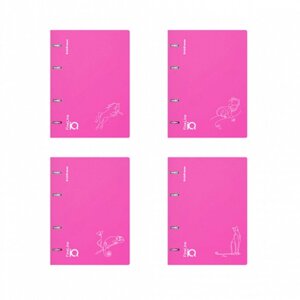 Тетрадь на кольцах А5 100 листов клетка ErichKrause IQ FineLine Silhouette пластиковая обложка розовый, блок офсет 80 г/м²белизна 100% микс