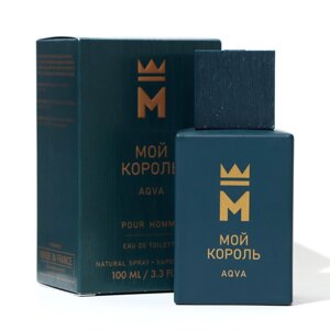 Туалетная вода мужская Мой Король Aqua, 100 мл (по мотивам Aqua Pour Homme (Bvlgari)