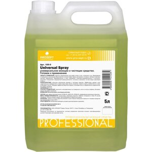 Универсальное моющее и чистящее средство Universal Spray, готовое к применению, 5 л