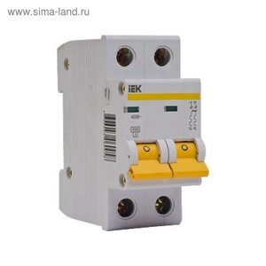 Выключатель автоматический IEK, 2п, C 25 А, ВА 47-29, 4.5 кА, MVA20-2-025-C
