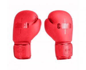 Перчатки боксерские Mist красные, 10 унций