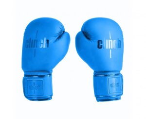 Перчатки боксерские Mist синие, 10 унций