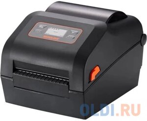 Принтер этикеток/ XD5-43d, 4 DT Printer, 300 dpi, USB, Ivory