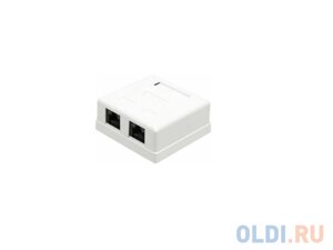 Розетка Lanmaster настенная 2 порта RJ-45 категории 5е UTP белый TWT-SM2-4545-WH