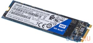WD SSD blue SA510, 250GB, M. 2(22x80mm), SATA3, R/W 550/525MB/s, iops 95 000/81 000, TBW 100, DWPD 0.2 (12 мес.)