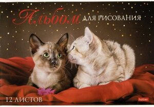 Альбом для рисования 12л А4 Мы любим котиков карт. обл., ассорти