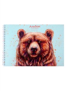 Альбом для рисования 40л А4 Медведь гребень, мел. картон, мат. ламинация, выб. лак