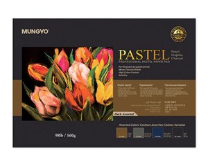 Альбом-склейка для пастели MUNGYO "Pastel" А4 30 л 160 г (3 цв х 6 листов + черная 12 листов)