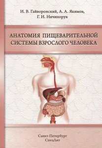 Анатомия пищеварительной системы взрослого человека. Учебное пособие