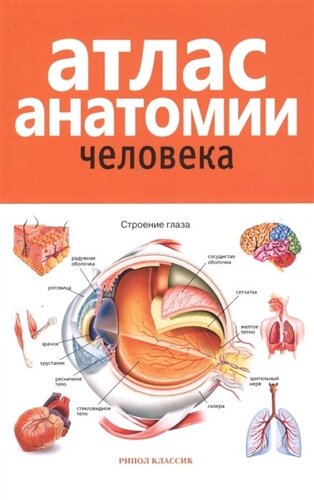 Атлас анатомии человека. 2-е изд., доп. и перераб. Марысаев В. Б.