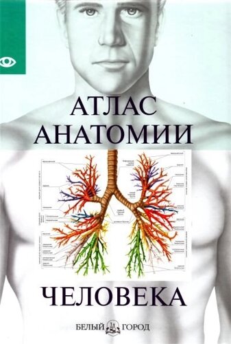 Атлас анатомии человека /малый формат) (Паламед)