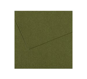 Бумага для пастели Canson "MI-TEINTES" 75x110 см 160 г №448 плющ