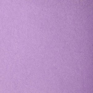 Бумага для пастели Clairefontaine "Etival color" 50x65 см, 160 г фиолетовый светлый