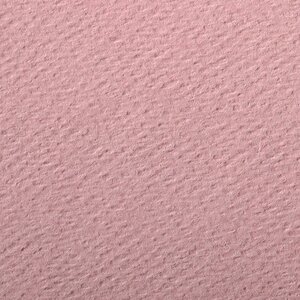 Бумага для пастели Clairefontaine "Etival color" 50x65 см, 160 г темно-розовый