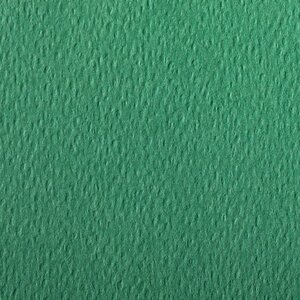 Бумага для пастели Clairefontaine "Etival color" 50x65 см, 160 г темно-зеленый