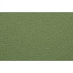 Бумага для пастели Fabriano "Тiziano" 21x29,7 см 160 г №11 салатовый теплый