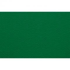 Бумага для пастели Fabriano "Тiziano" 21x29,7 см 160 г №12 зеленый