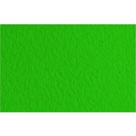 Бумага для пастели Fabriano "Тiziano" 21x29,7 см 160 г №37 ярко-зеленый