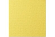 Бумага для пастели Lana "COLOURS" 50x65 см 160 г светло-желтый