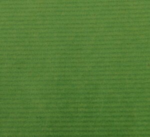 Бумага Крафт Canson рулон 0,68х3 м 65 г Зеленый