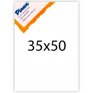 Холст грунтованный на картоне Pinax 280 г 35x50 см