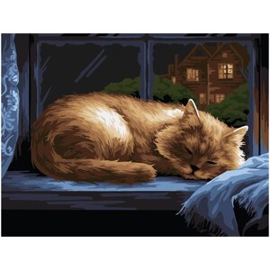 Картина по номерам на картоне ТРИ СОВЫ "Крепкий сон", 30*40 см, с акриловыми красками и кистями