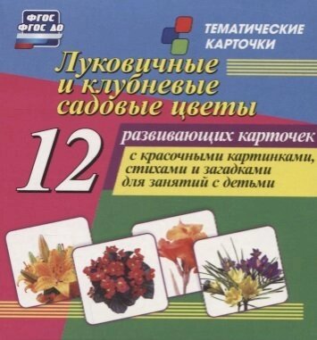 Луковичные и клубневые садовые цветы: 12 развивающих карточек с красочными картинками, стихами и загадками для занятий с детьми