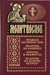 Молитвослов. Правило ко причастию. Молитвы за ближних. Каноны и акафисты. Молитвы на всякую потребу