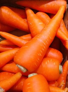 Морковь Мармелад F1 (УД) 1 гр цв. п.