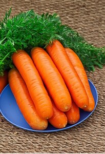 Морковь Нантская 4 2 гр б. п.
